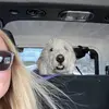Sophia Murphy - @sophiamurphy64 - TikTok