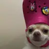 Sofía N - @sofiaanardone - TikTok
