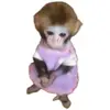 Sophia Nevarez - @sophianevarez - TikTok