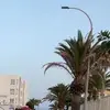 Sophia Saunders - @sophiasaunders1200 - TikTok