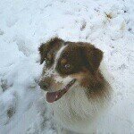 Sophia Schuler - @sophie__2005 - Instagram