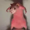 Sophia simms - @sophiasimms0818 - TikTok