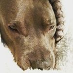 sophiayoder - @sophiayoder2007 - Instagram