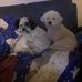 Sophie Abraham - Facebook