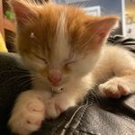 Sophie And Asher - @sophieandasher - Instagram
