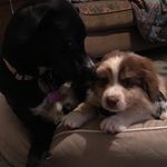 Sophie and Asher - @sophie_and_asher_ - Instagram