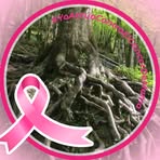 Sophie Bauer - Facebook
