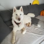 Sophie Baum - @sophie.baum.710 - Instagram