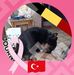 Sophie Baum - Facebook