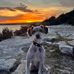 Sophie Baum - Facebook
