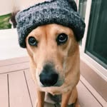 Sophie Bench :) - @sophieluvspeanutbutter - Instagram