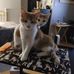 Sophie Bissonnette - Facebook