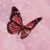 Preppycowgirl_1234 - @sophiebreen42 - TikTok