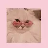 sophie - @sophiebreen200 - TikTok