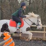 Sophie Devlin - @devlin_eventing - Instagram