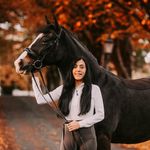 Sophie Drewicz Photography - @sophiedrewiczphotography - Instagram