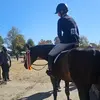 sophie - @sophiedeegan.eq - TikTok