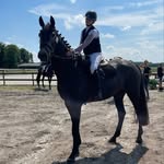 Sophie Kramer - @sk__sporthorses - Instagram