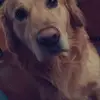 Sophie Kramer - @sophiekramer02 - TikTok
