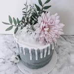 Sophie Ryan Cakes - @sophieryancakes - Instagram