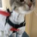 Sora Yoon - Facebook