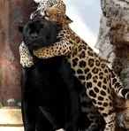 Soraida Silva - Facebook