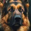 sorinmuntean777 - @sorinmuntean777 - TikTok