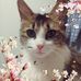 Sou Lam - Facebook