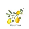 Sparkle King - @sparklekingstore - TikTok