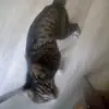 sparkleking04 - @sparkleking04 - TikTok