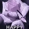 Sparkleplenty - @user5761710059512 - TikTok