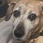 Sparky Smith - @pvillespark - Instagram
