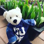 Sparky Smith - @sparkyisthecoolest - Instagram