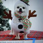 Sparky Smith - Facebook