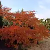 Spas Petkov - @spaspetkov7 - TikTok