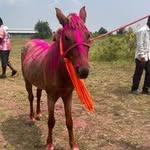 Reshama Darling - @speed_queen_reshma - Instagram