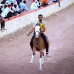 SPEED QUEEN FULI🏇 - @speed_queen_fuli - Instagram