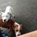 Speedy Smith - Facebook