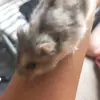 speedy smith - @speedy._.smith - TikTok