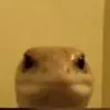 Spencer - @spencer.baldwin - TikTok