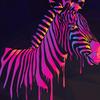 Spencer Johnston - @spencerjohnston3 - TikTok