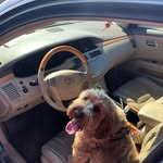 Spencer Abdo - @spencerabdo - Instagram