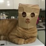 @spencer_armstrong_ - Instagram