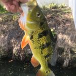 Spencer Barr - @spencer_barr_fishing - Instagram