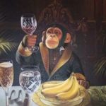 Spencer Barr - @barrtuzzi - Instagram