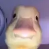 Spencer - @spencerdabean - TikTok