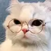 SpencerBender - @annetxfz253 - TikTok