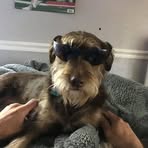 Spencer Beyer - Facebook