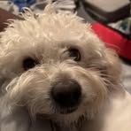 Spencer Bonner - Facebook