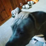spencer Chadbourne - @spencerchadbourne - Instagram